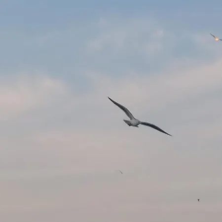 شقة Suncica