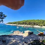 Suncica
