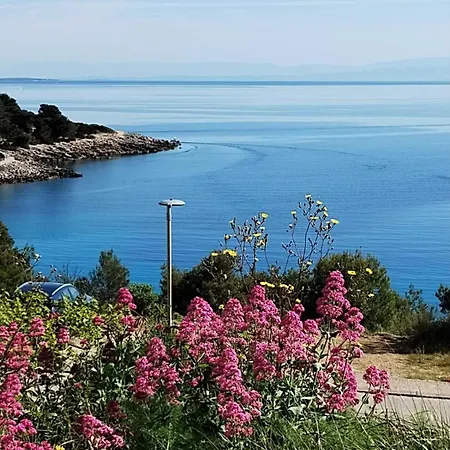Apartment Suncica