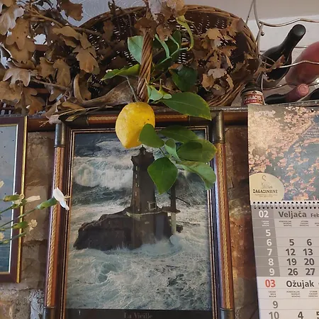 Apartment Suncica