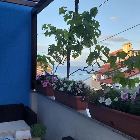 Suncica Διαμέρισμα *