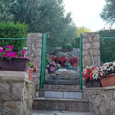 Suncica * Mali Lošinj